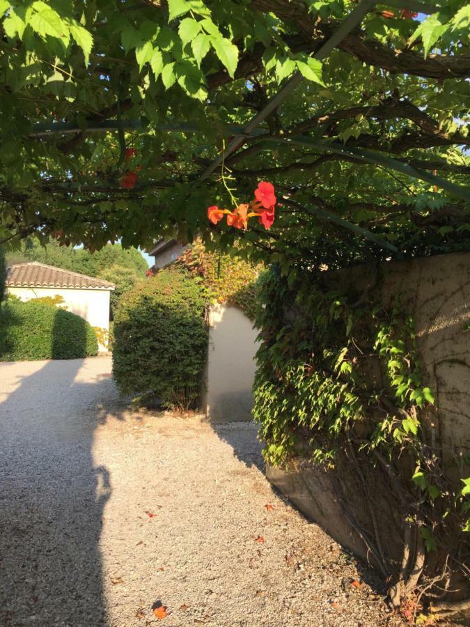 Le Mazet De Lola Villa Saint-Rémy-de-Provence Exteriör bild